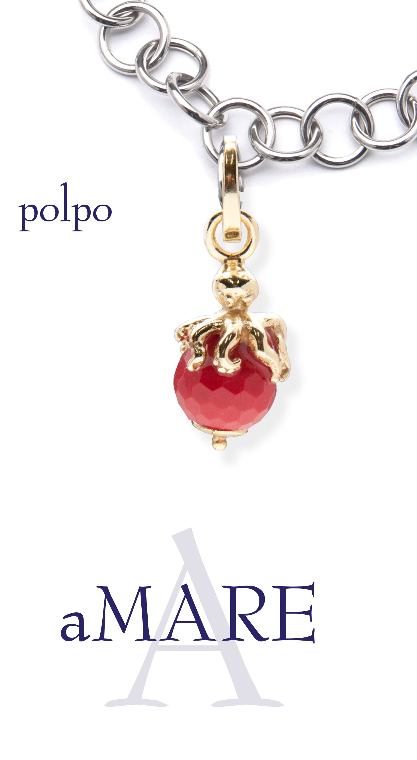 Polpo su pietre dure