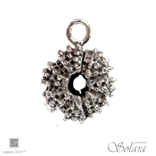 Riccio di Mare - brunito