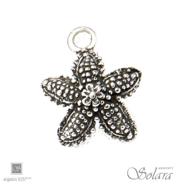 Stella marina Otranto - brunita