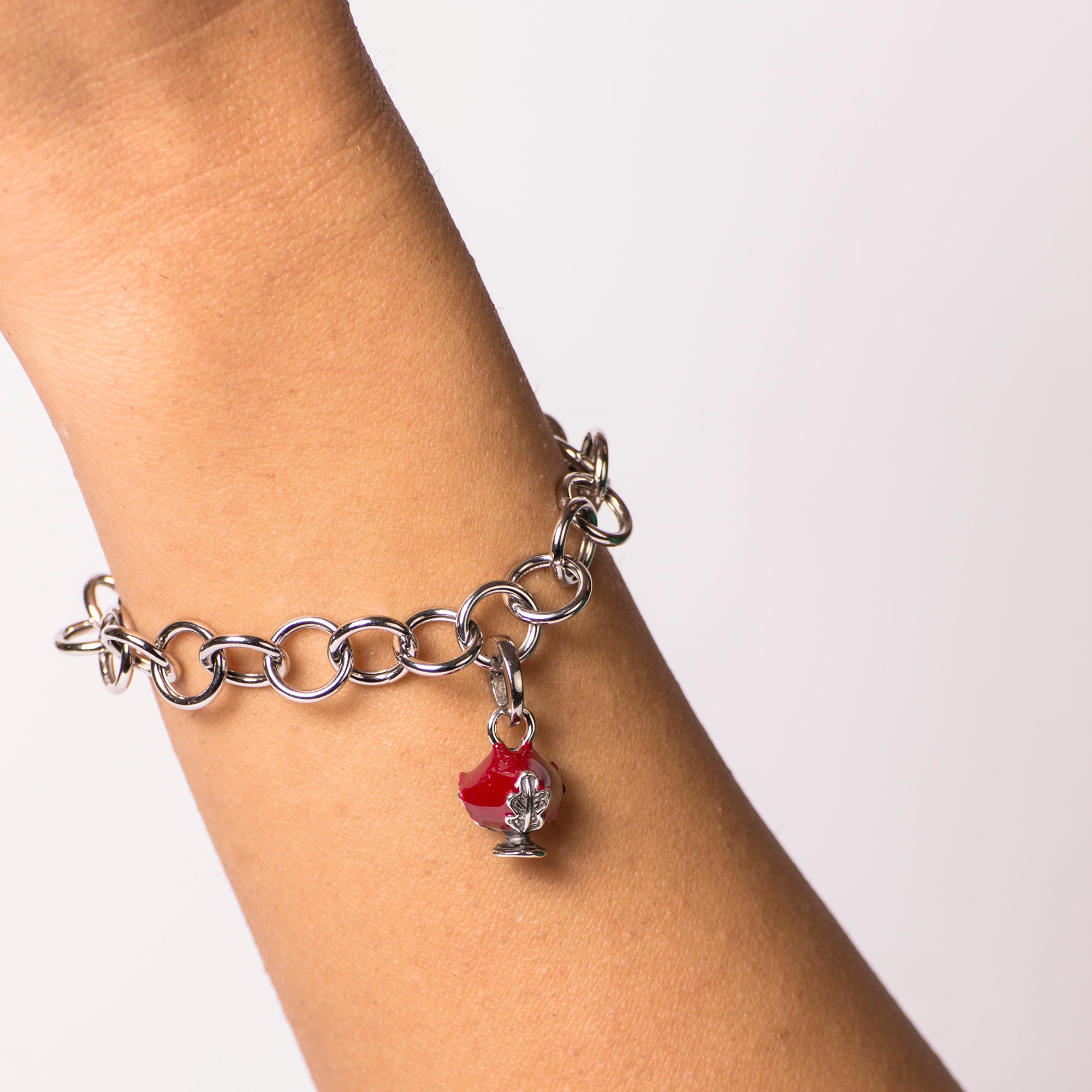 Pomidèfiure I^ misura Bordeaux