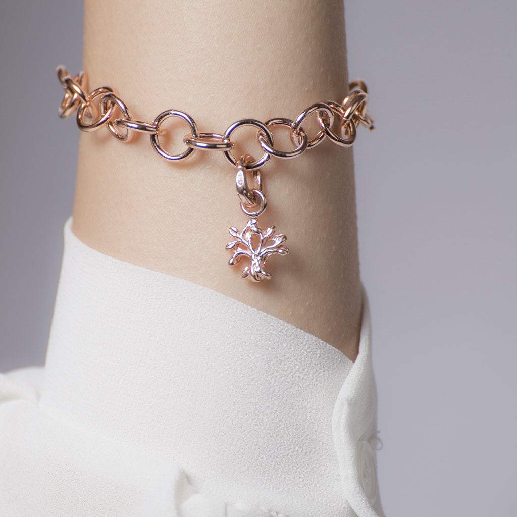 Ulivo - Albero della Vita - rose'