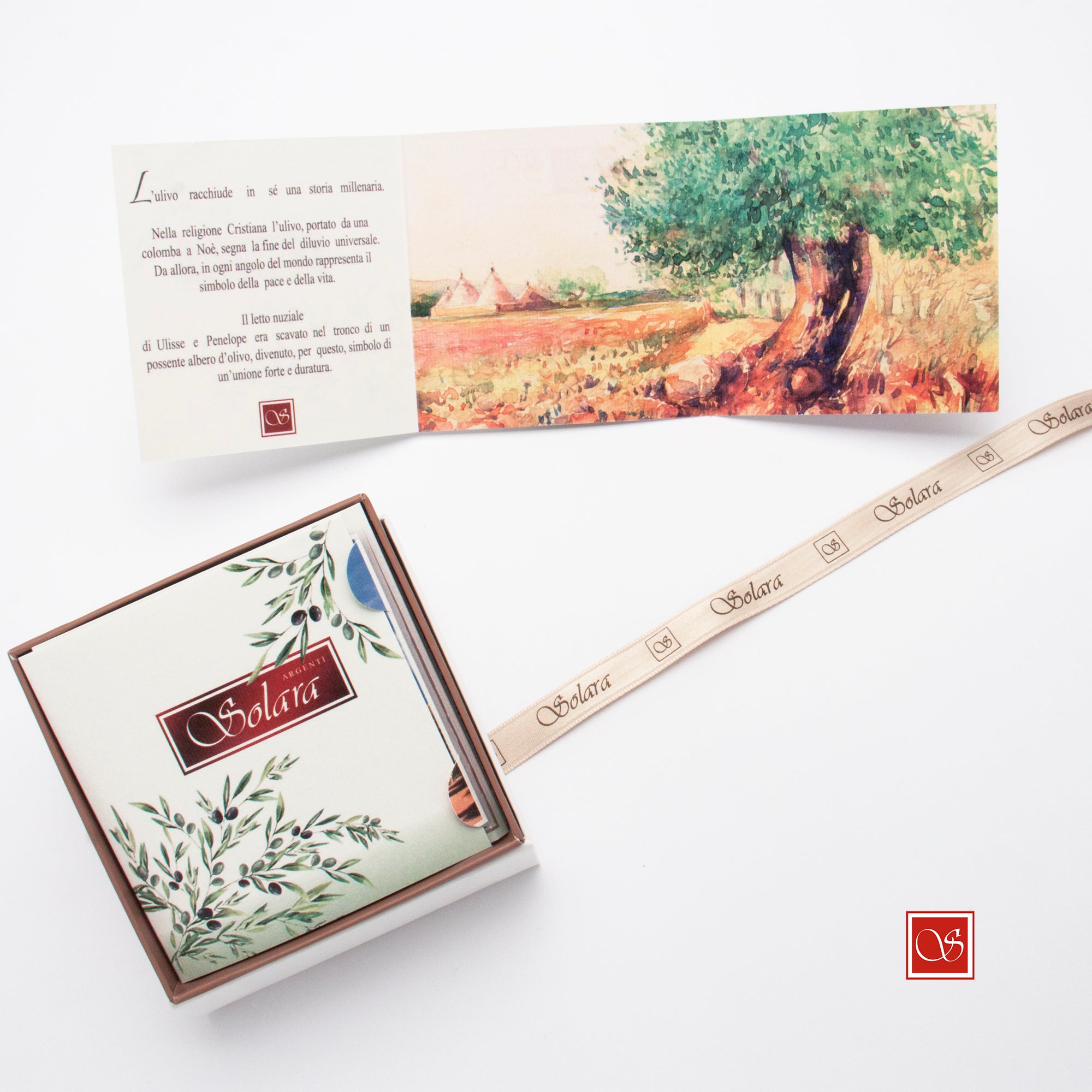 Ulivo - Albero della Vita - rose'